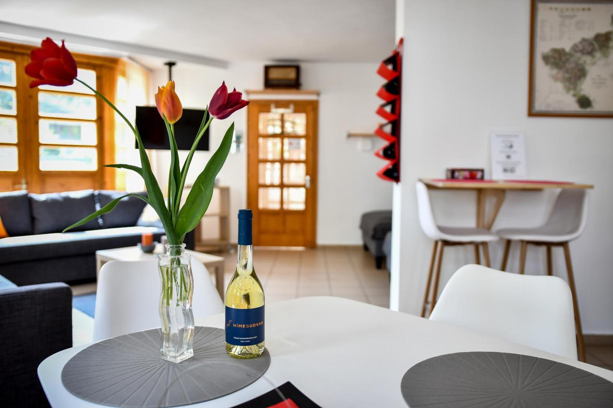 Boralom Studio Apartman Tokaj Extérieur photo