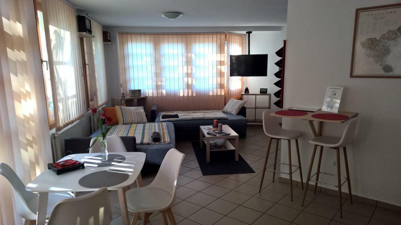 Boralom Studio Apartman Tokaj Extérieur photo